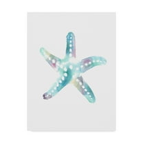 Trademark Fine Art 'Star Fish' Canvas Art by Nicky Kumar