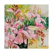 Trademark Fine Art 'Star Studded' Canvas Art by Annelein Beukenkamp