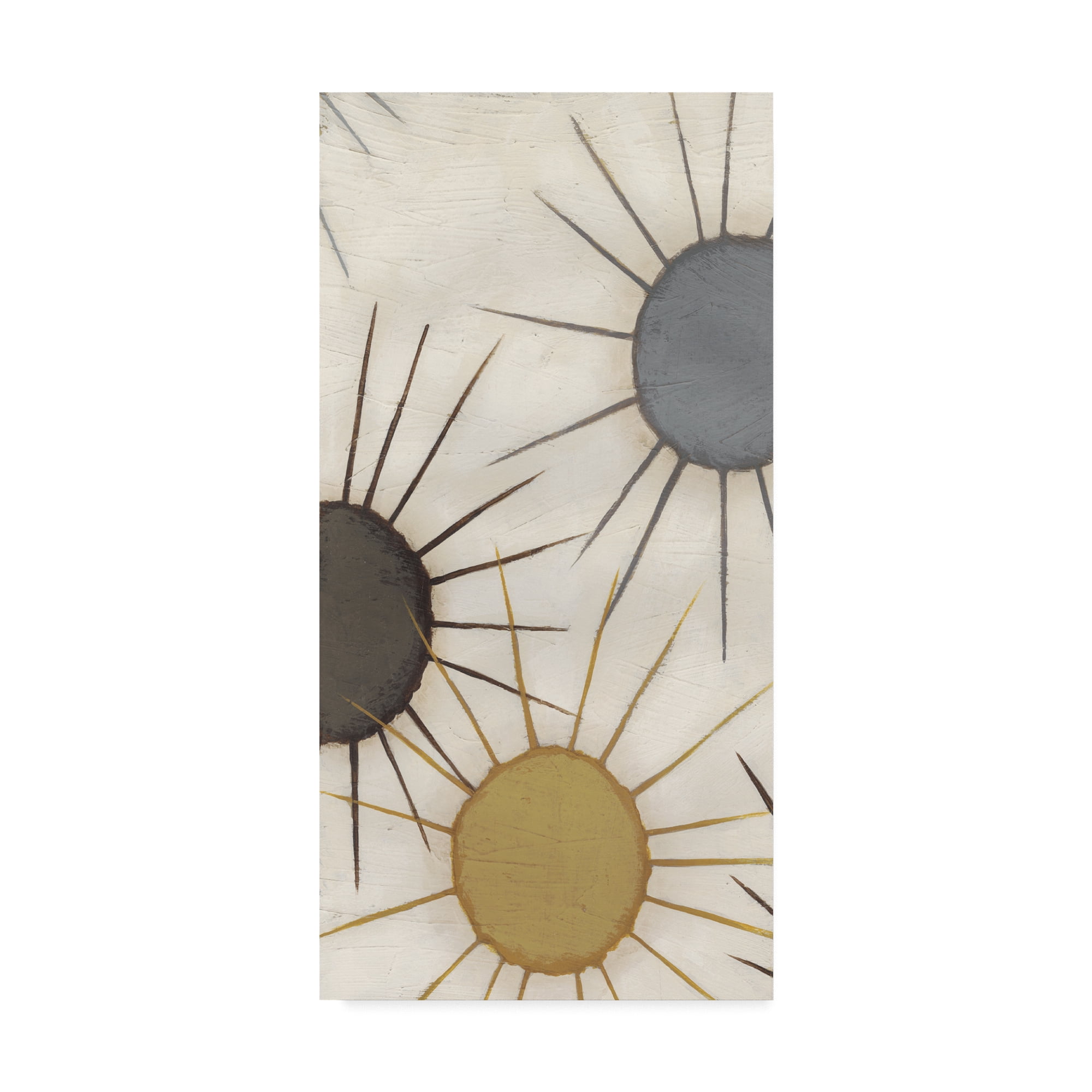 Trademark Fine Art 'Starburst Triptych II' Canvas Art by June Erica Vess
