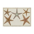 thumbnail image 1 of Trademark Fine Art 'Starfish Naturelle I' Canvas Art by Denis Diderot, 1 of 4