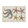 thumbnail image 1 of Trademark Fine Art 'Starfish Naturelle II' Canvas Art by Denis Diderot, 1 of 4
