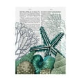 thumbnail image 1 of Trademark Fine Art 'Starfish, Under the Sea' Canvas Art by Fab Funky, 1 of 3