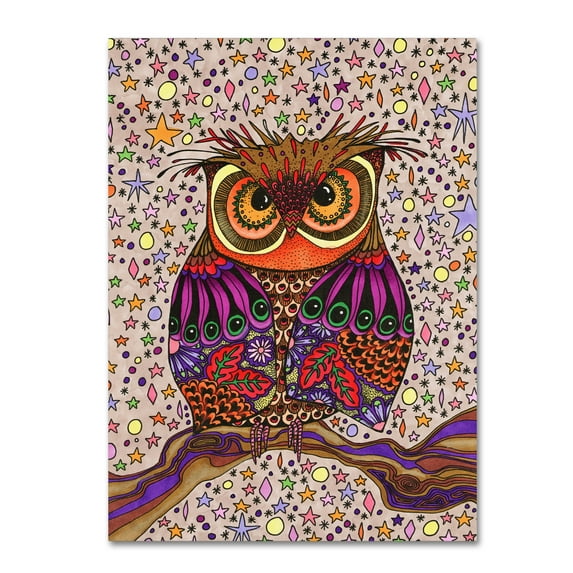 Trademark Fine Art 'Starry Night Owl' Canvas Art by Kim Kosirog