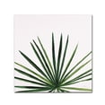 thumbnail image 1 of Trademark Fine Art 'Statement Palms III' Canvas Art by Wellington Studio, 1 of 3