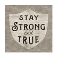 thumbnail image 1 of Trademark Fine Art 'Stay Strong' Canvas Art by Sue Schlabach, 1 of 4