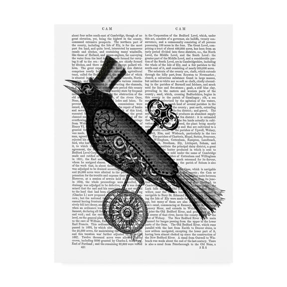 Trademark Fine Art 'Steampunk Crow' Canvas Art by Fab Funky