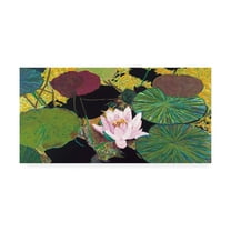 Trademark Fine Art 'Steamy Pond' Canvas Art by Allan Friedlander