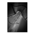 thumbnail image 1 of Trademark Fine Art 'Steel Frame' Canvas Art by Le Vu Cuong, 1 of 3