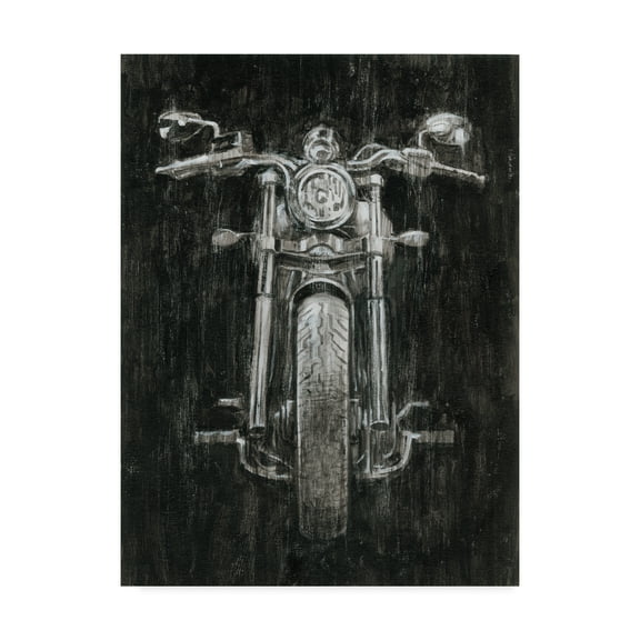 Trademark Fine Art 'Steel Horse I' Canvas Art by Ethan Harper