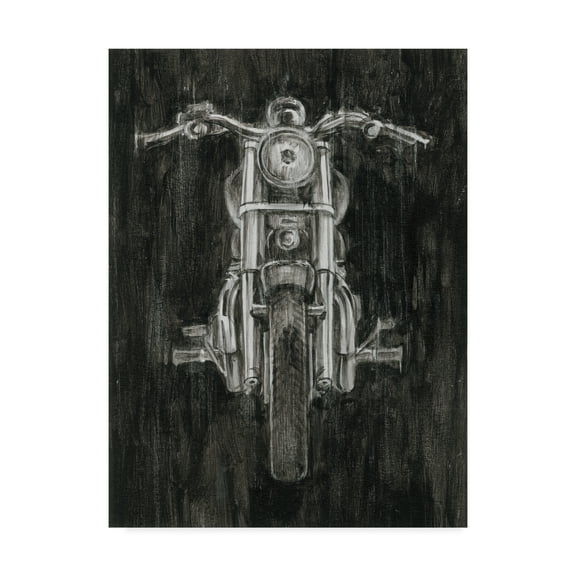 Trademark Fine Art 'Steel Horse II' Canvas Art by Ethan Harper