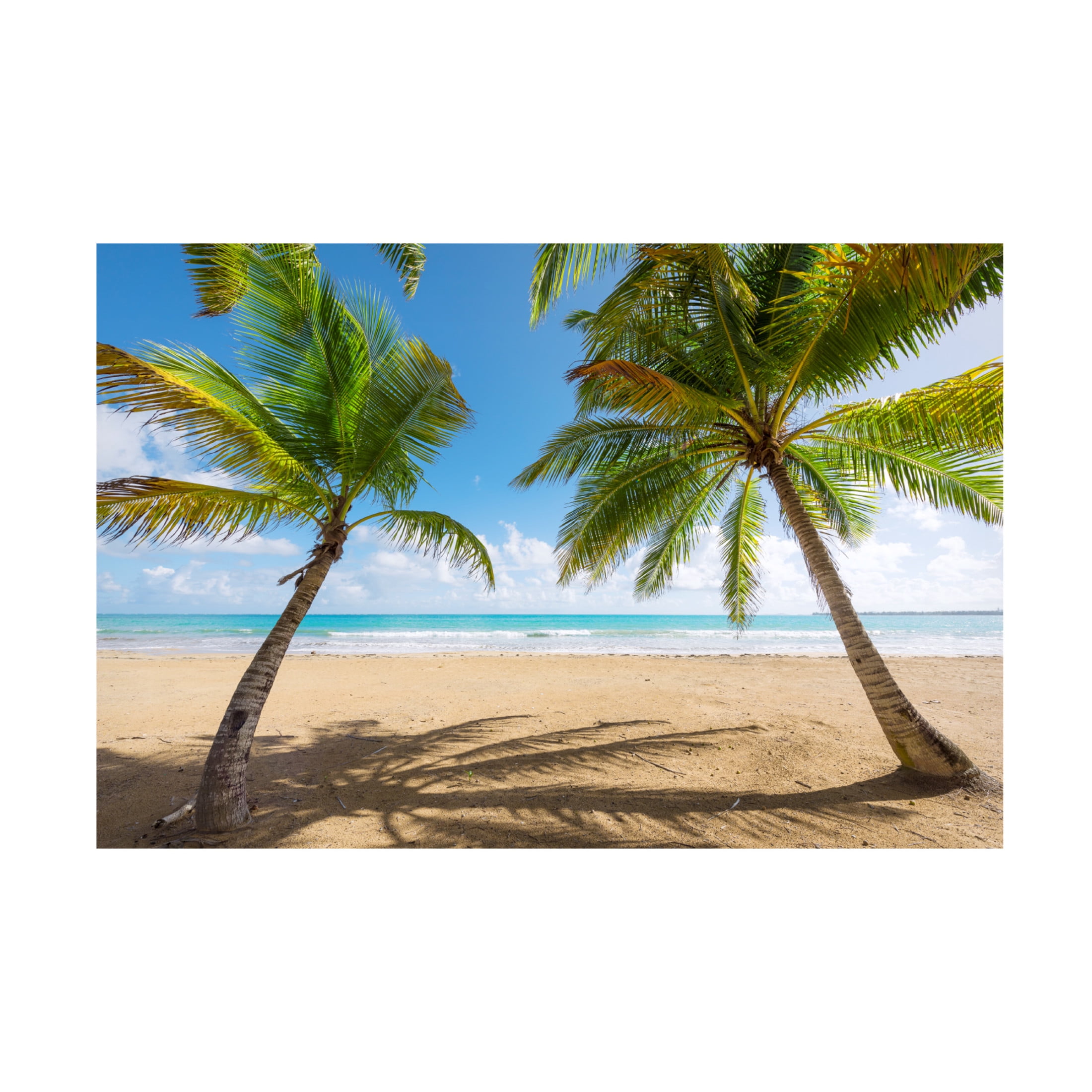 Trademark Fine Art Stefan Hefele Palmy Beach Canvas Wall Art