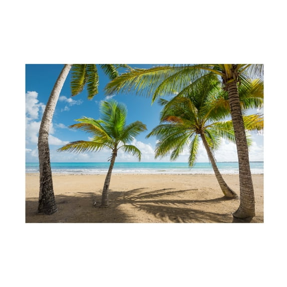 Trademark Fine Art Stefan Hefele Palmy Beach II Canvas Wall Art