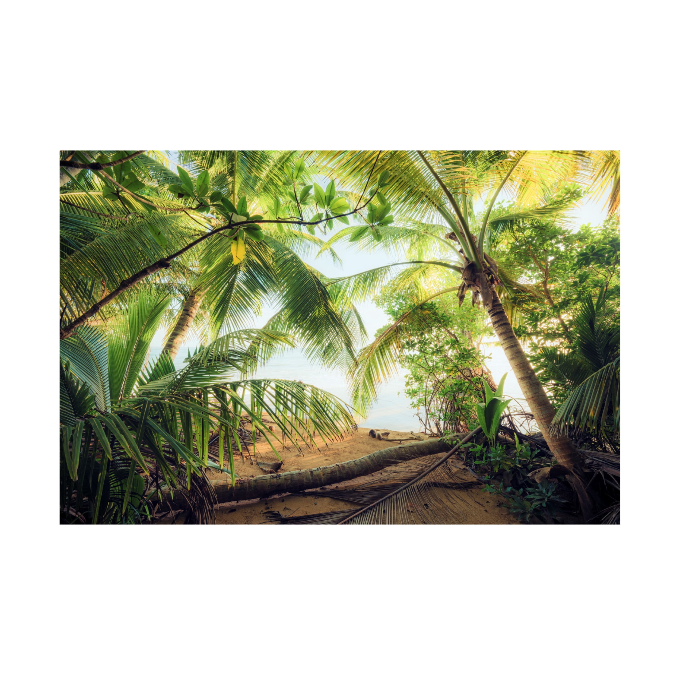 Trademark Fine Art Stefan Hefele Pirates Nest Canvas Wall Art