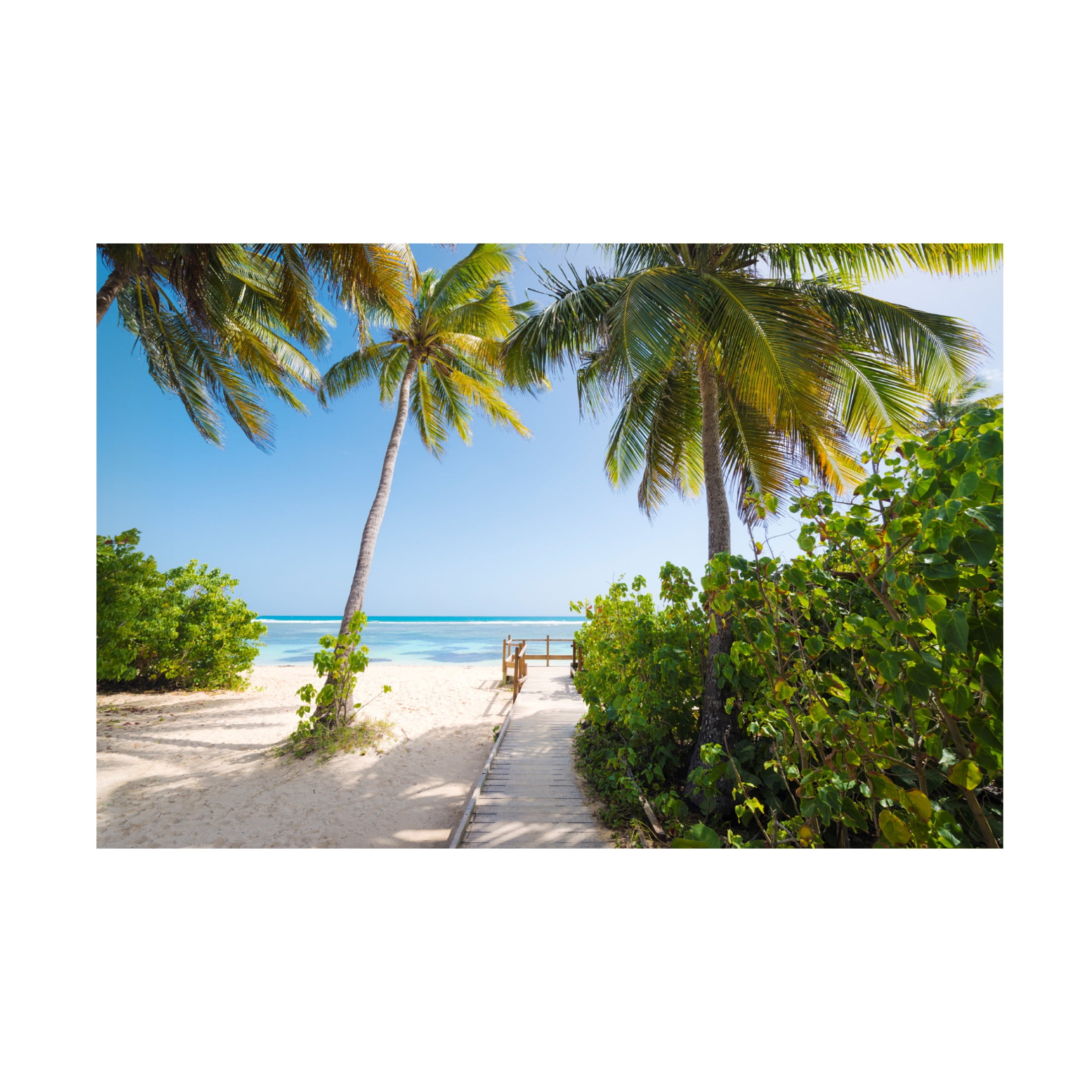 Trademark Fine Art Stefan Hefele To the Beach Canvas Wall Art