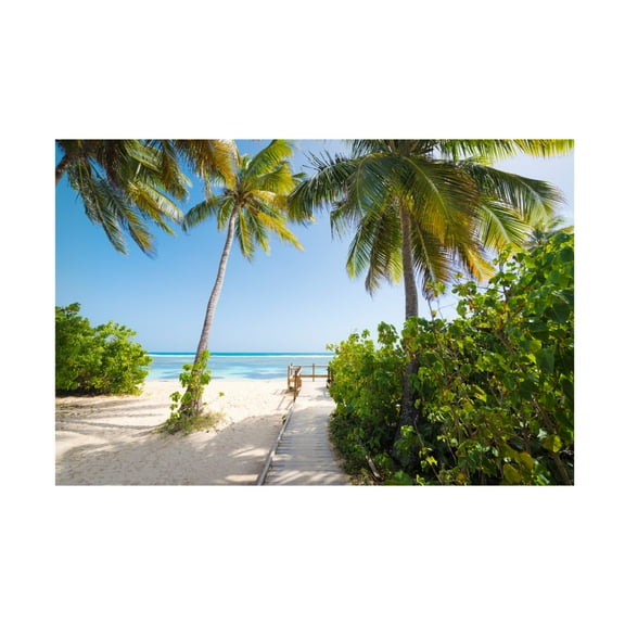 Trademark Fine Art Stefan Hefele To the Beach Canvas Wall Art