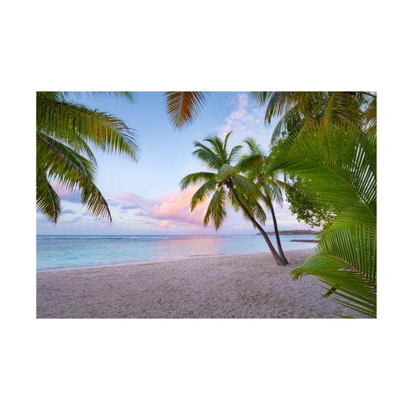 Trademark Fine Art Stefan Hefele Tropical Beach Canvas Wall Art