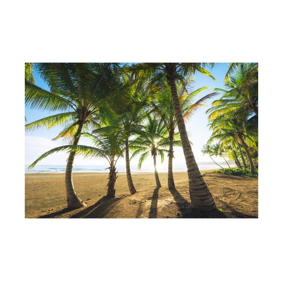 Trademark Fine Art Stefan Hefele Tropical Morning Canvas Wall Art