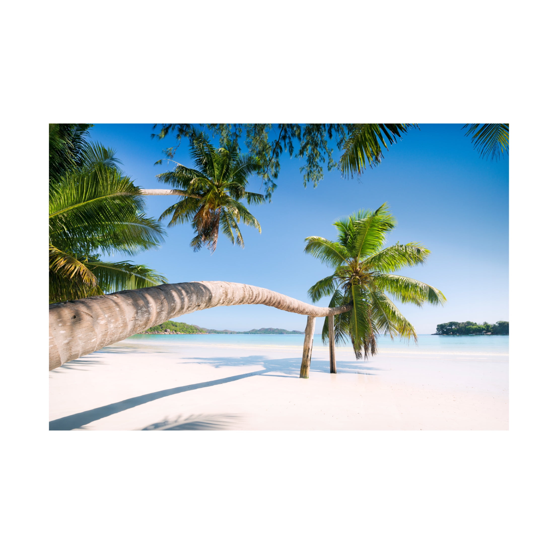 Trademark Fine Art Stefan Hefele Tropical Palm Canvas Wall Art