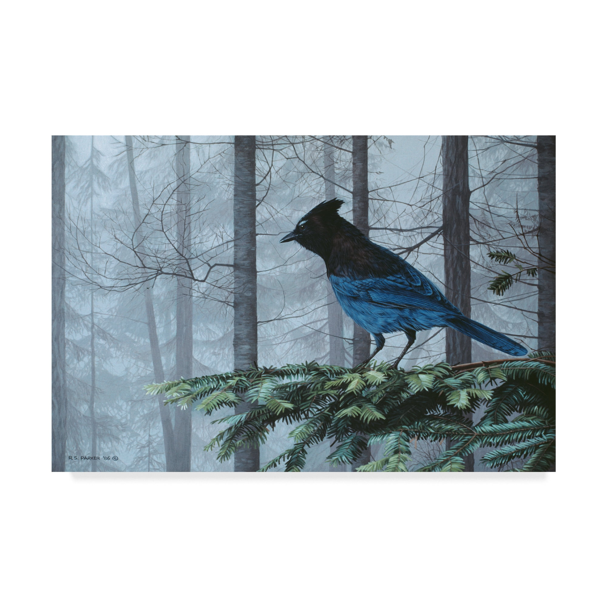 Trademark Fine Art 'Stellers Jay In Fog' Canvas Art by Ron Parker