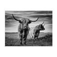 thumbnail image 1 of Trademark Fine Art Stephane Pecqueux I Am The Boss Canvas Wall Art, 1 of 4
