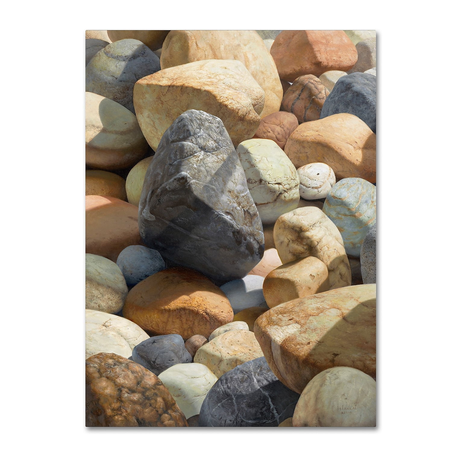 Trademark Fine Art Stephen Stavast 'A Bolder View' 35 x 47 (ALI0740-C3547GG)