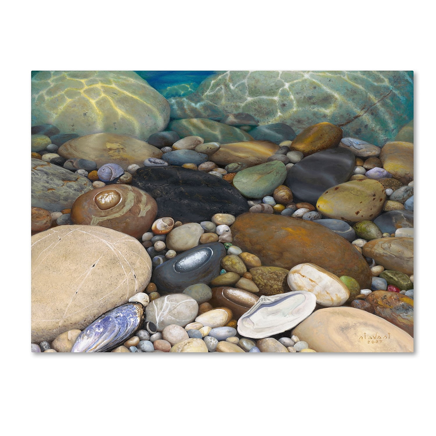Trademark Fine Art Stephen Stavast 'Shoreline Treasures' 18 x 24 (ALI0746-C1824GG)