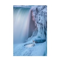 Trademark Fine Art Steven Zhou Frozen Canvas Wall Art