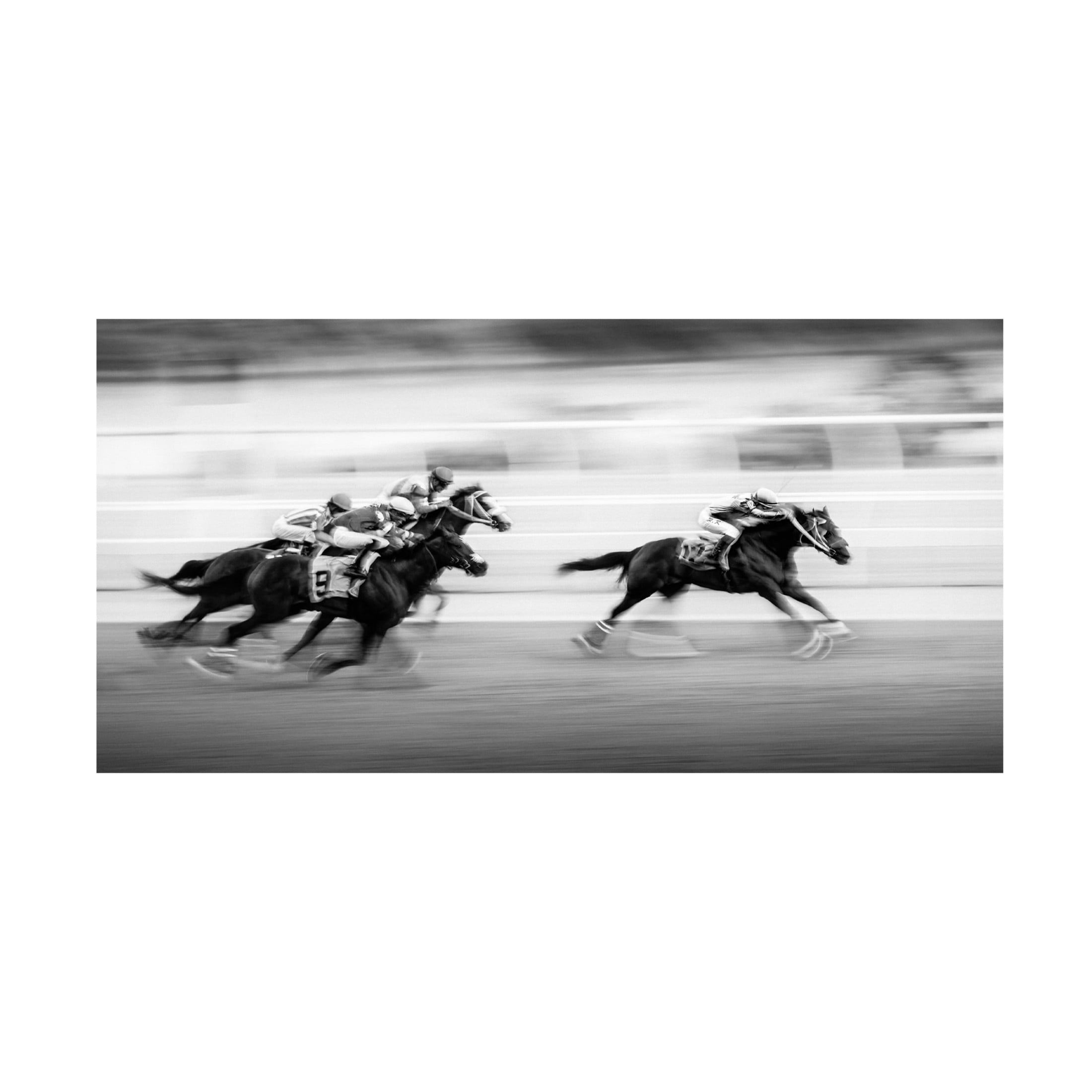 Trademark Fine Art Steven Zhou  Taking the Lead Canvas Wall Art
