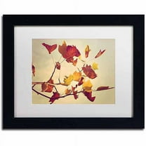 Trademark Fine Art "Still Fall" Canvas Art by Philippe Sainte-Laudy, White Matte, Black Frame