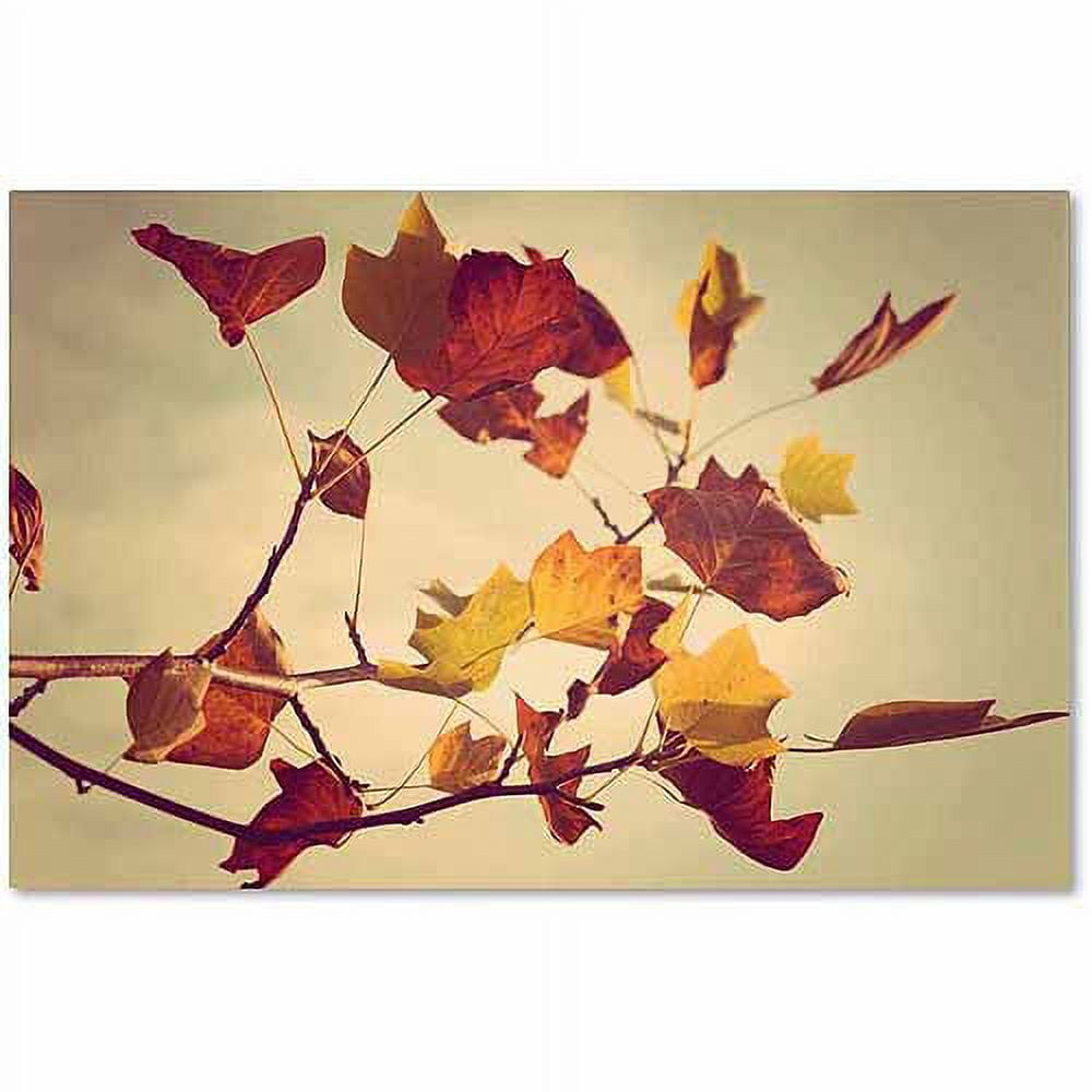 Trademark Fine Art "Still Fall" Canvas Art by Philippe Sainte-Laudy