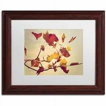 Trademark Fine Art "Still Fall II" Canvas Art by Philippe Sainte-Laudy, White Matte, Wood Frame