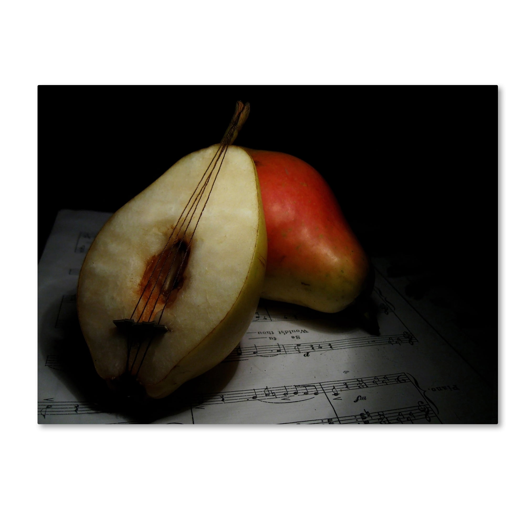 Trademark Fine Art 'Still Life' Canvas Art by Emine Basa
