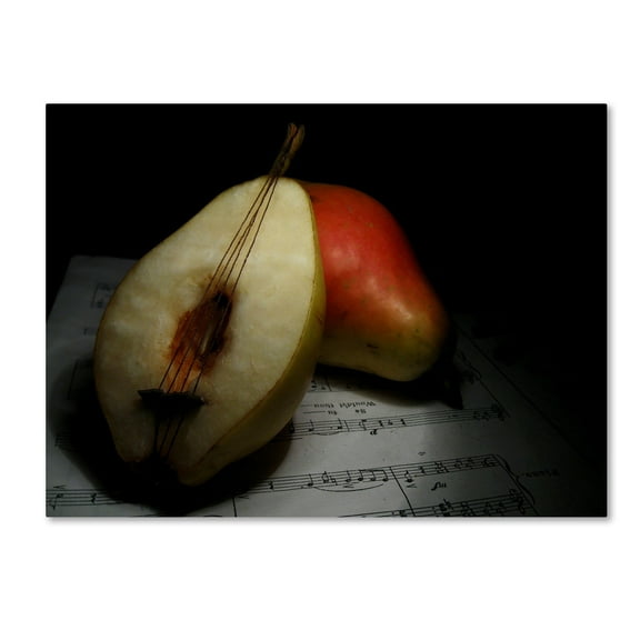 Trademark Fine Art 'Still Life' Canvas Art by Emine Basa