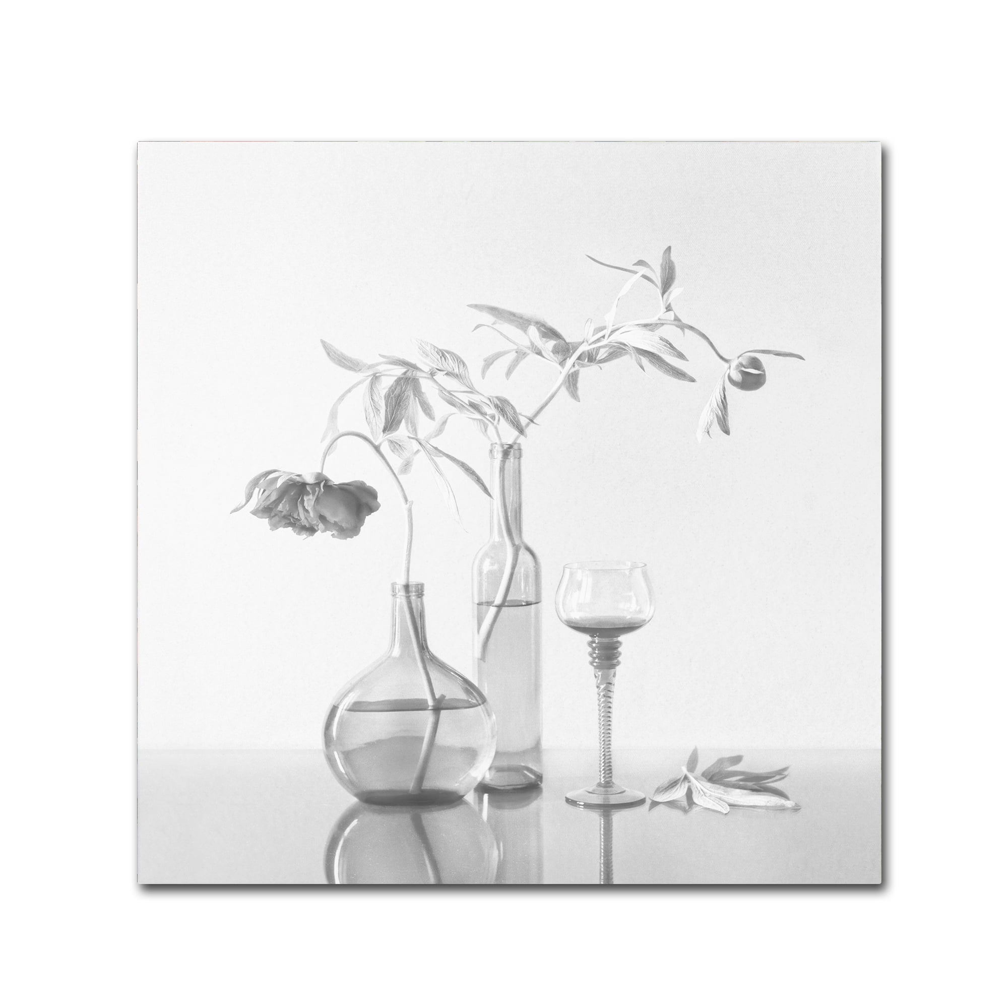 Trademark Fine Art 'Still Life With Peonies' Canvas Art by Dimitar Lazarov