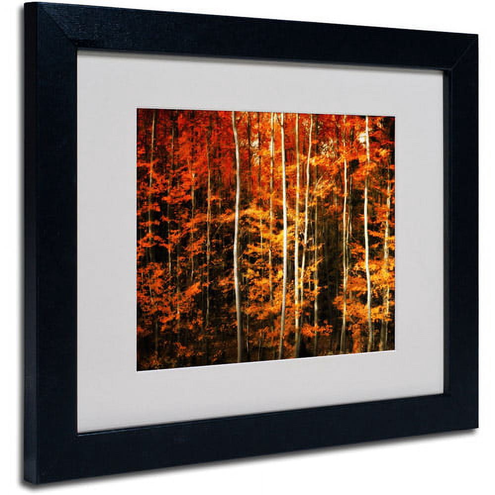 Trademark Fine Art "Still Painting" Canvas Art by Philippe Sainte-Laudy, Black Frame