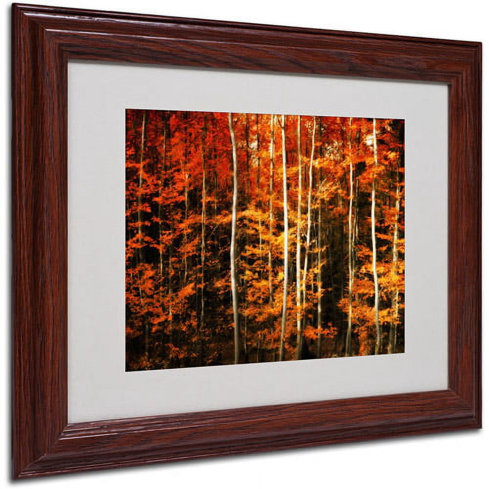 Trademark Fine Art "Still Painting" Canvas Art by Philippe Sainte-Laudy, Wood Frame