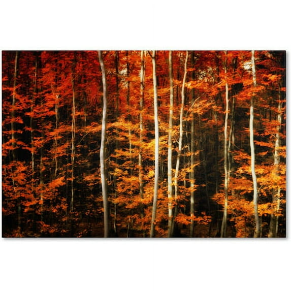 Trademark Fine Art "Still Painting" Canvas Art by Philippe Sainte-Laudy