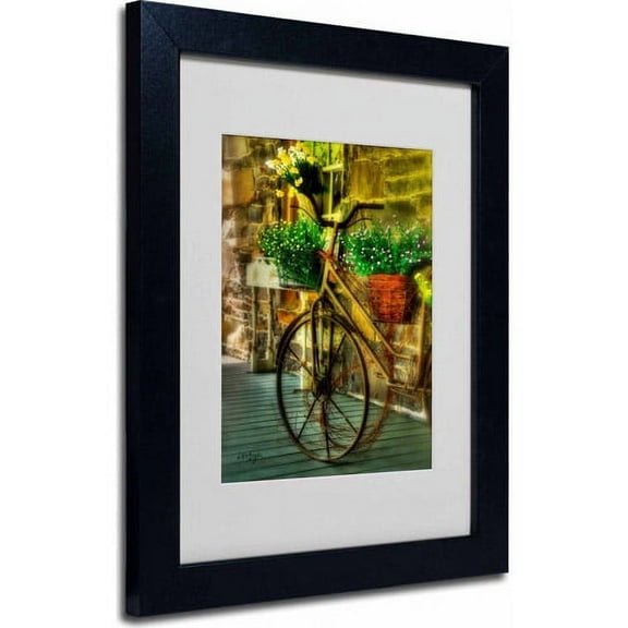 Trademark Fine Art "Still Useful" Canvas Art by Lois Bryan, Black Frame