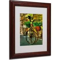 Trademark Fine Art "Still Useful" Canvas Art by Lois Bryan, Wood Frame