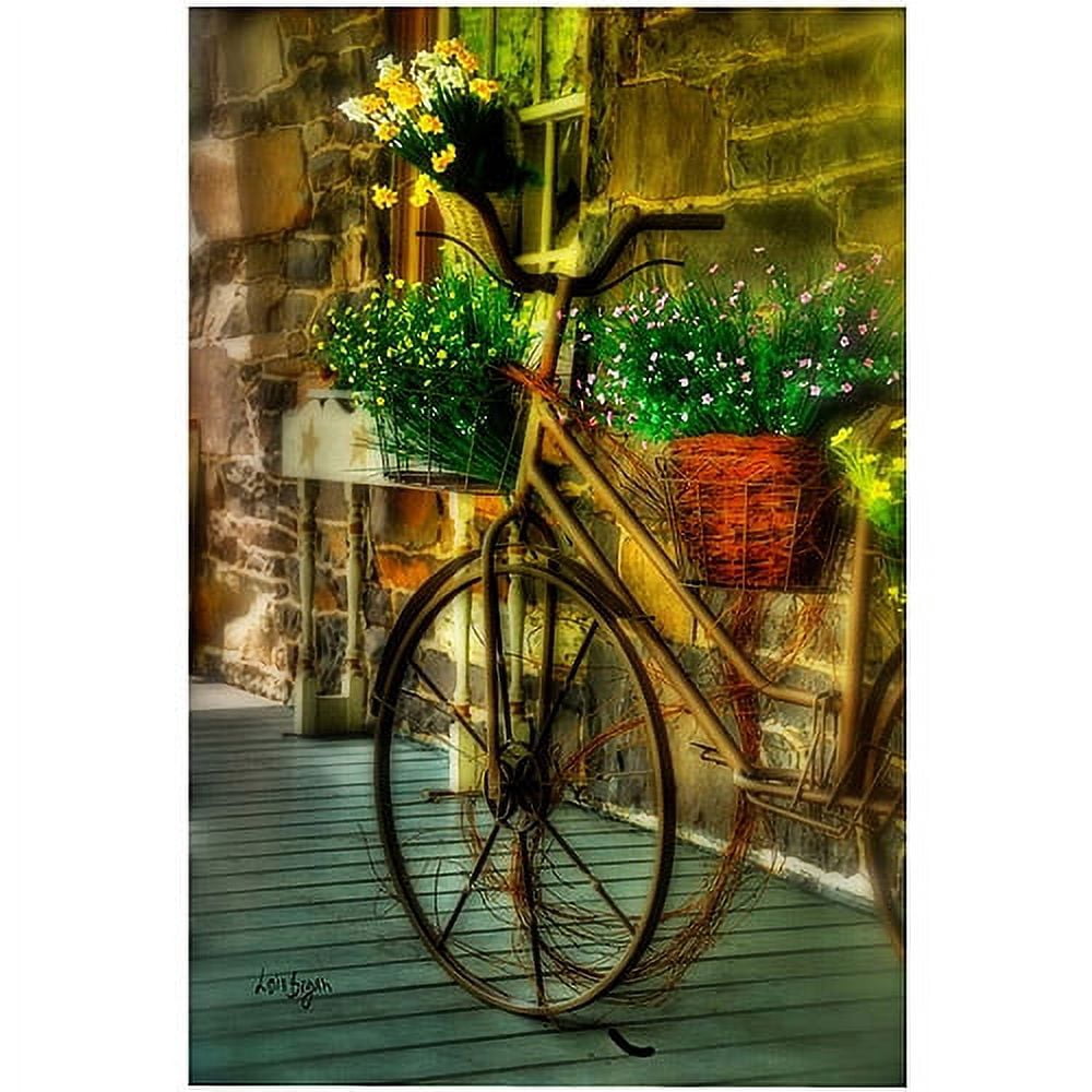 Trademark Fine Art "Still Useful" Canvas Art by Lois Bryan