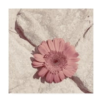 Trademark Fine Art 'Stone Blossom II' Canvas Art by Jason Johnson