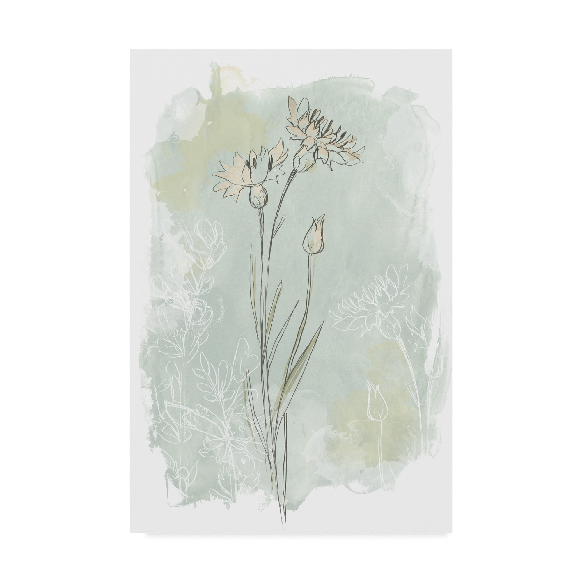 Trademark Fine Art 'Stone Flower Study I' Canvas Art by June Erica Vess