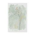thumbnail image 1 of Trademark Fine Art 'Stone Flower Study IV' Canvas Art by June Erica Vess, 1 of 4