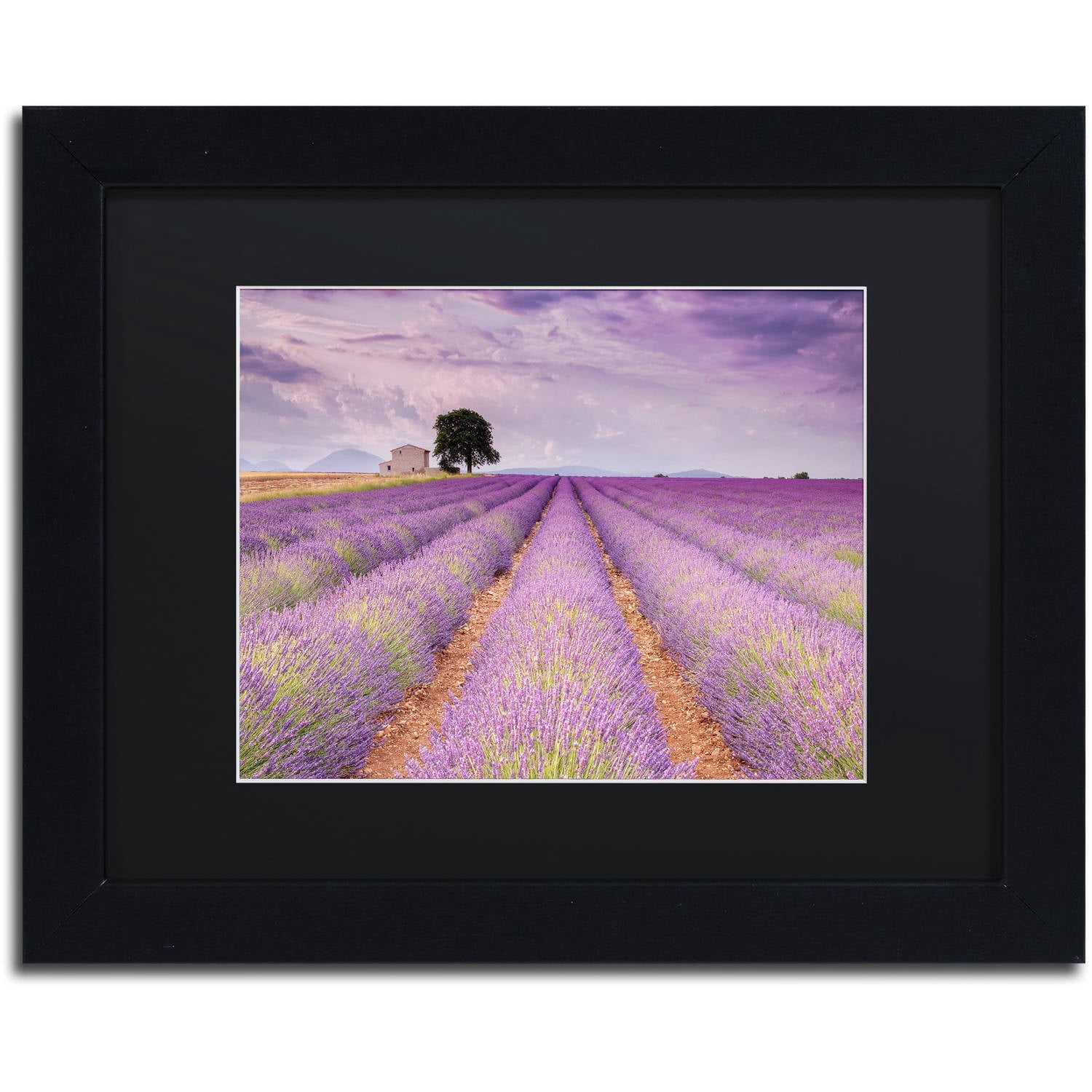 Trademark Fine Art 'Stone House' Canvas Art by Michael Blanchette Photography, Black Matte, Black Frame