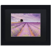 Trademark Fine Art 'Stone House' Canvas Art by Michael Blanchette Photography, Black Matte, Black Frame