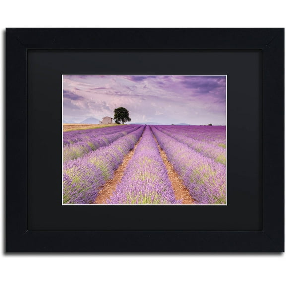 Trademark Fine Art 'Stone House' Canvas Art by Michael Blanchette Photography, Black Matte, Black Frame