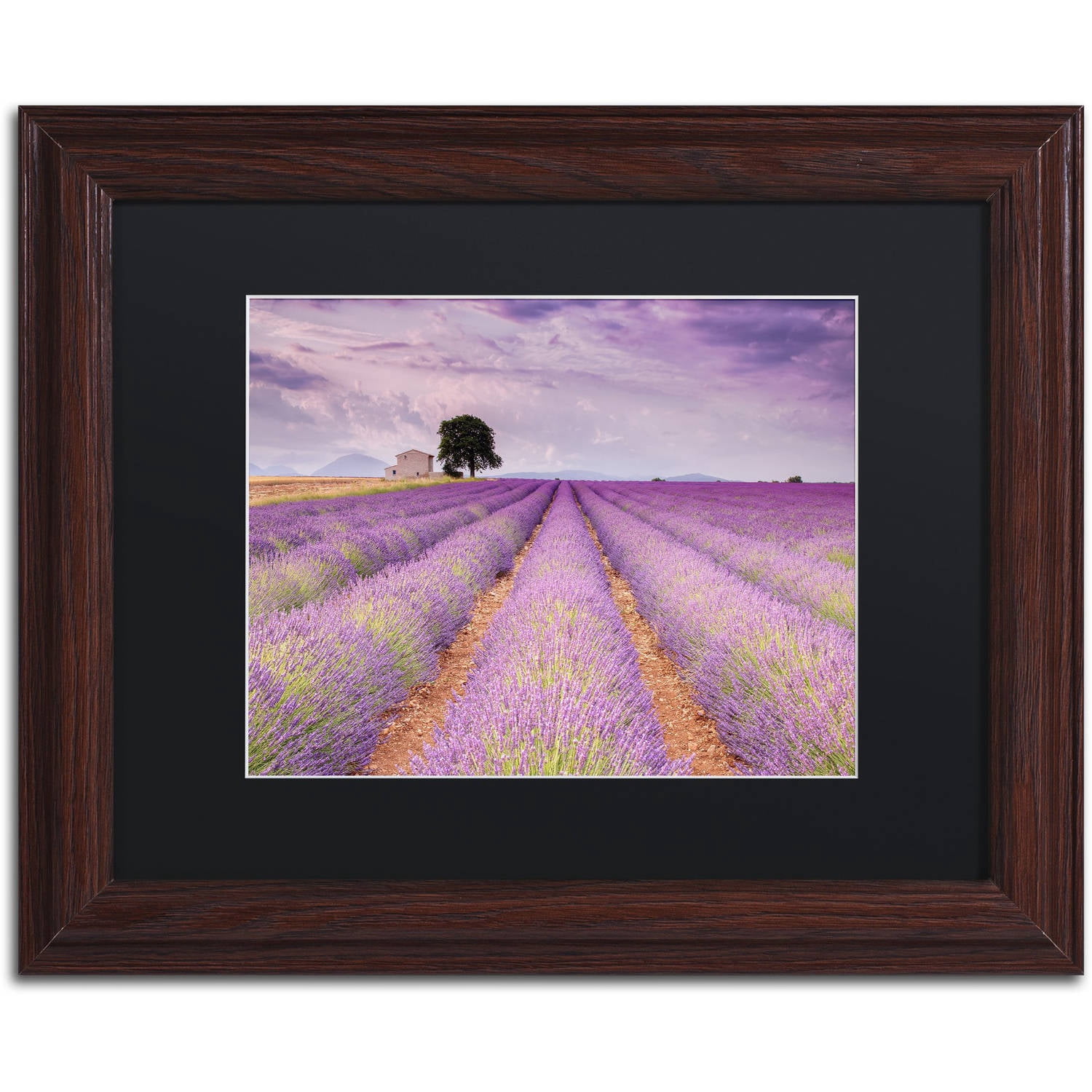 Trademark Fine Art 'Stone House' Canvas Art by Michael Blanchette Photography, Black Matte, Wood Frame