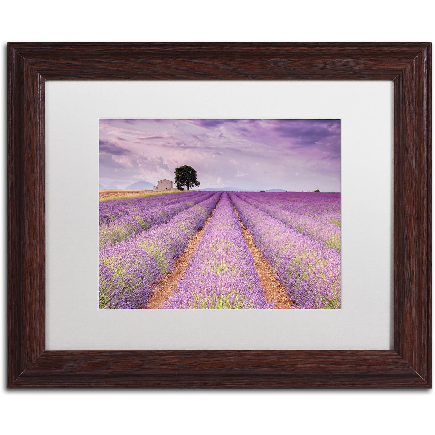 Trademark Fine Art 'Stone House' Canvas Art by Michael Blanchette Photography, White Matte, Wood Frame