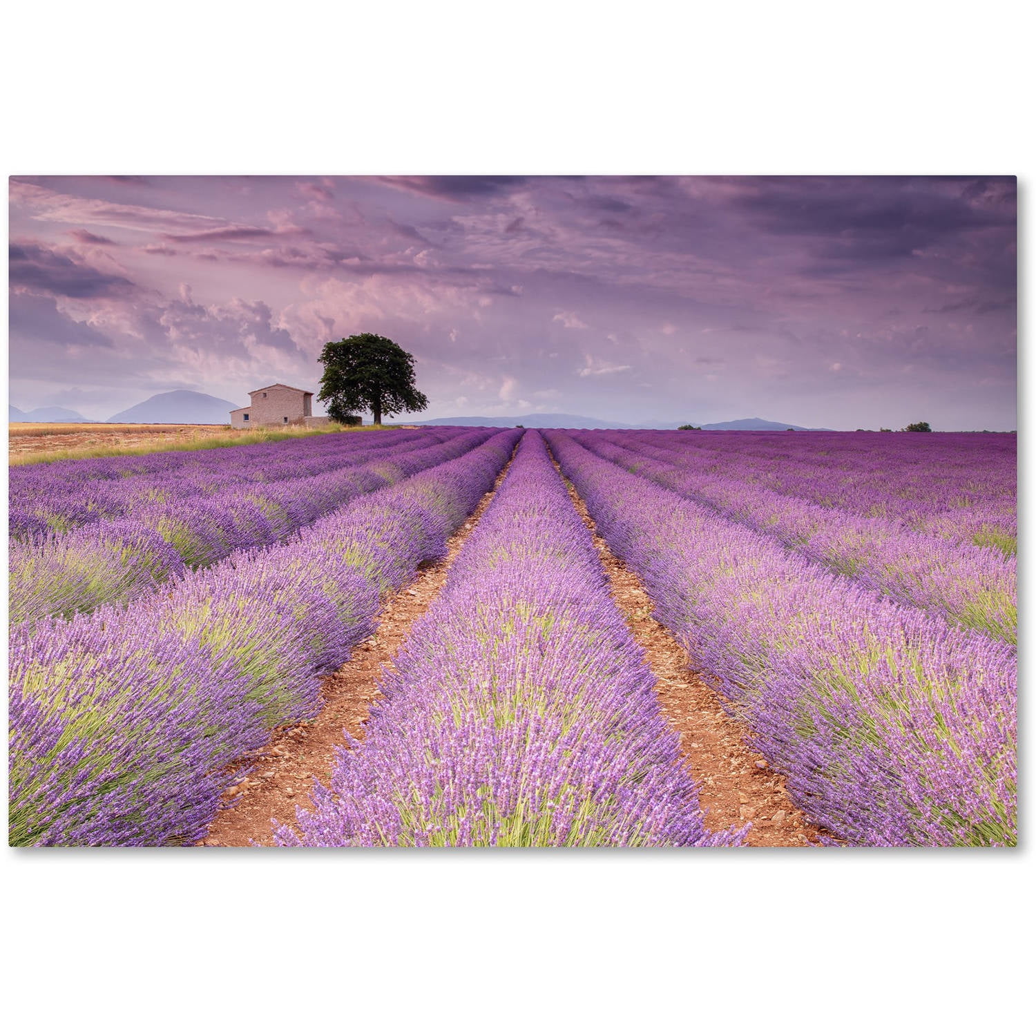 Trademark Fine Art 'Stone House' Canvas Art by Michael Blanchette Photography