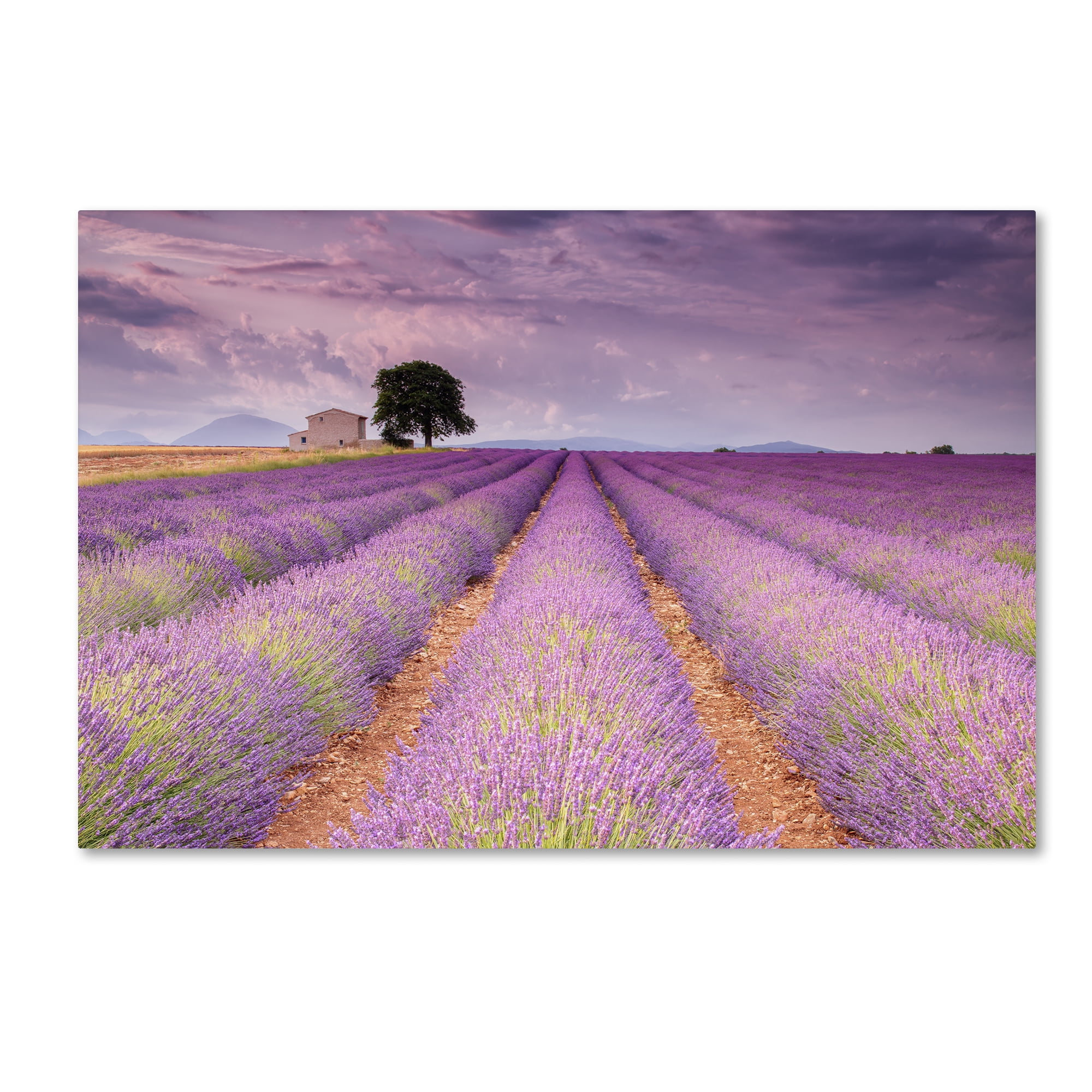 Trademark Fine Art 'Stone House' Canvas Art by Michael Blanchette Photography